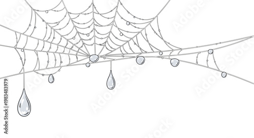A delicate spiderweb illustration features large glistening translucent water droplets hanging from thin silk threads against a pristine and plain white background.