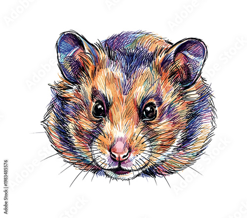 Close-up hamster head focusing on eyes nose and cheek volume with layered strokes creating soft depth and rounded structure,