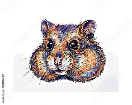 Hamster head profile facing right with tiny muzzle and rounded ear structure emphasized through directional pen strokes and soft
