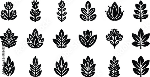 Black and white leaf in rows plant botanical