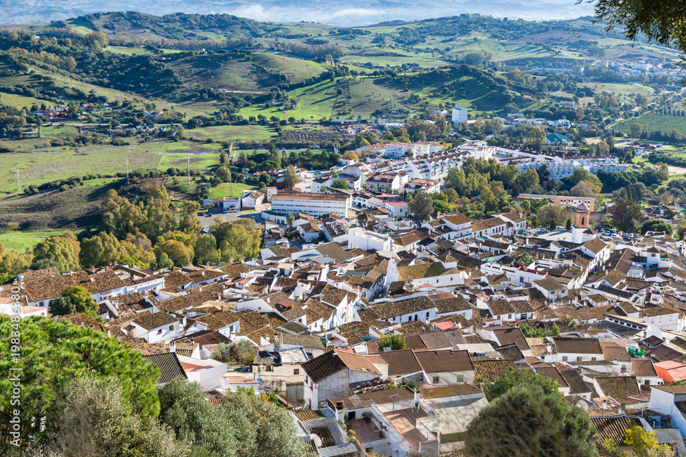 Fototapeta premium High angle view of the roof tops of Jimena de la Frontera with green fields in the background, Cadiz province, Spain