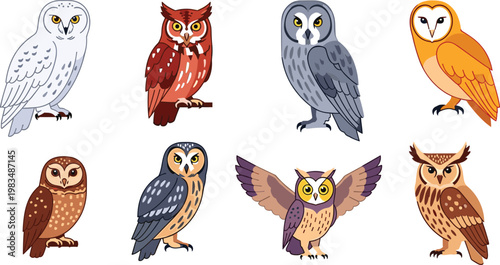 Colorful Owl Vector Set Featuring Various Species Like Barn Owl, Snowy Owl, and Great Horned Owl for Avian and Wildlife Illustrations