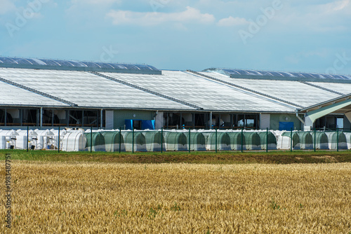 The facade of a modern cow farm building. An agro-industrial complex surrounded by a green field. Natural animal husbandry.