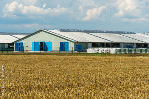 The facade of a modern cow farm building. An agro-industrial complex surrounded by a green field. Natural animal husbandry.