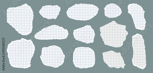 Set checkered torn paper pieces. Ripped papers with rough edges. Vector design of various fragments and geometric shapes of sheets from a notebook.