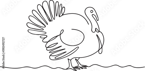 A simple line drawing of a turkey standing on the ground
