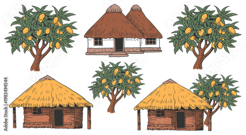 Traditional Village Huts Thatched Roof Mango Trees Rural Landscape Nature Illustration Set Vector Collection Isolated Background