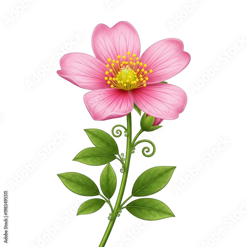 A delicate pink flower with green stem and leaves standing gracefully upright
