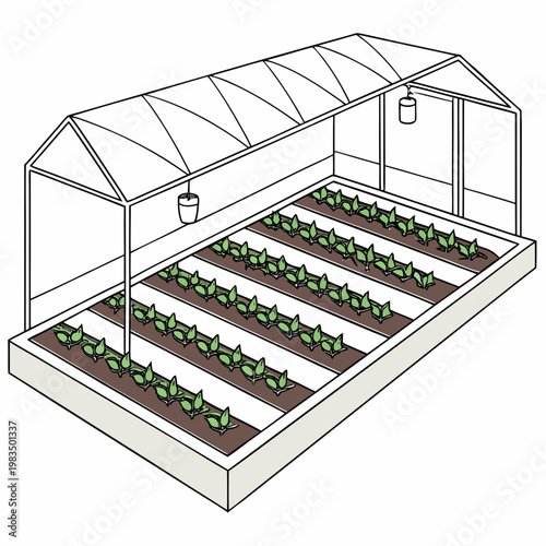 An illustrative depiction showcases a simplified greenhouse structure with rows of seedlings growing in prepared garden beds high quality professional detailed modern
