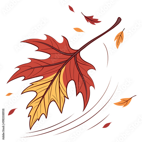 A vibrant illustration depicts a large maple leaf in autumnal hues gently falling with several smaller leaves swirling around it high quality