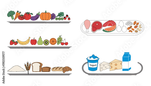 Food groups on shelves displayed