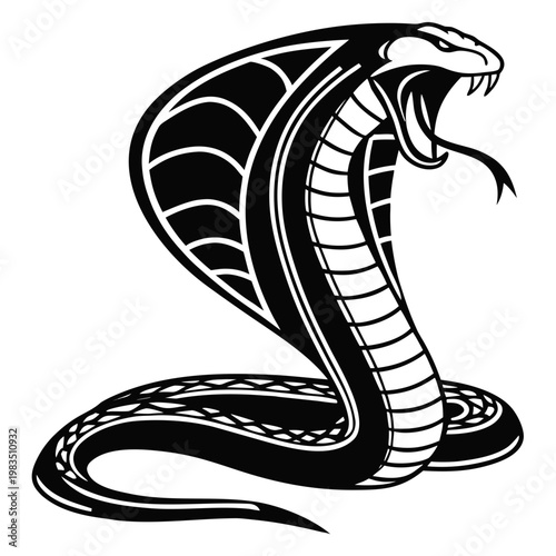 Black Cobra Snake white background reptile