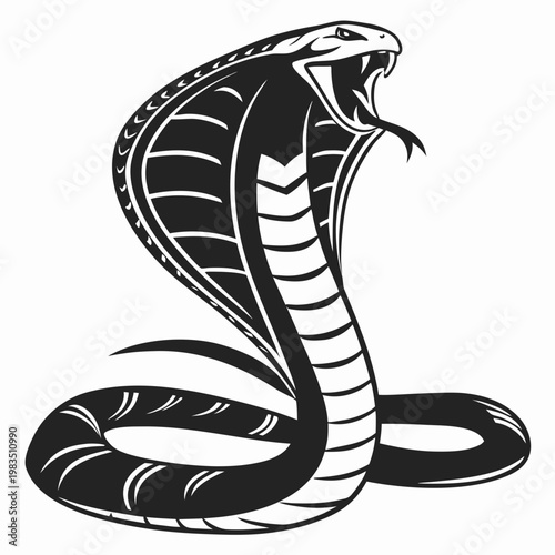 Cobra snake reptile animal black and white