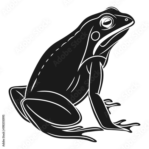 Sitting frog amphibian black and white animal