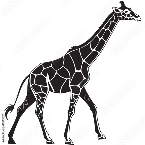 Black giraffe standing giraffe animal mammal