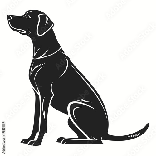 Black dog sitting dog animal