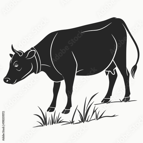 Black cow standing animal cattle