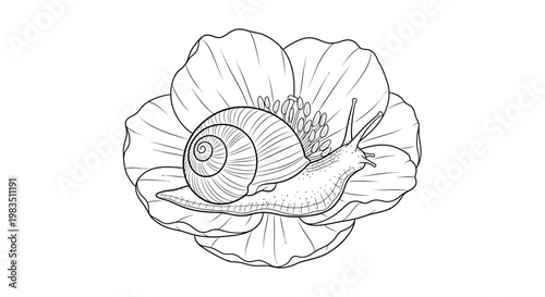 A detailed line drawing of a snail on a blooming poppy flower