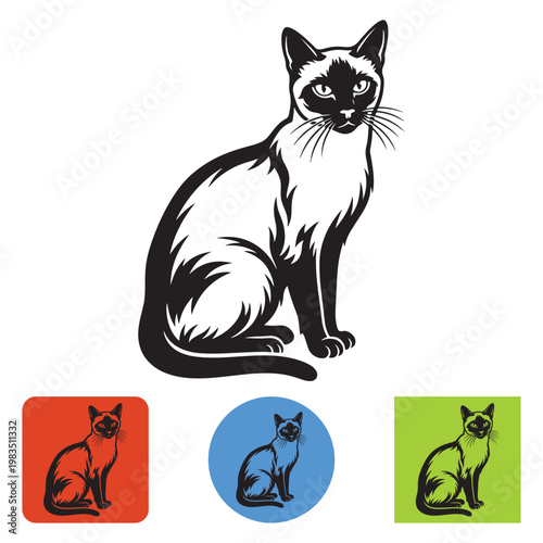 Siamese cat vector illustration, elegant black and white feline sitting pose, stylized pet animal icon set for logo and branding design