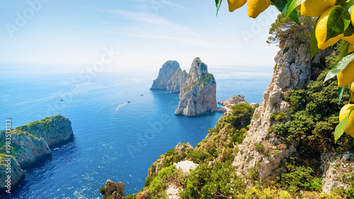 Faraglioni rocks rise from blue Mediterranean Sea near Capri island, Italy. Steep limestone cliffs with green vegetation and lemon branches frame coastal landscape of Capri under clear sky