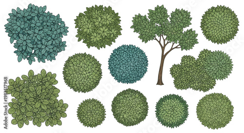 Aerial view of various tree and bush canopy shapes in green hues