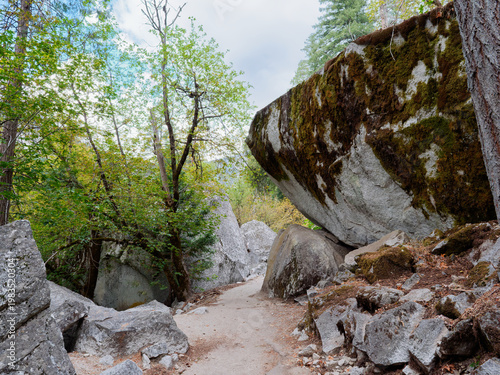 Narrow hiking path winding through massive mossy boulders and forest, Yosemite National Park, California, USA