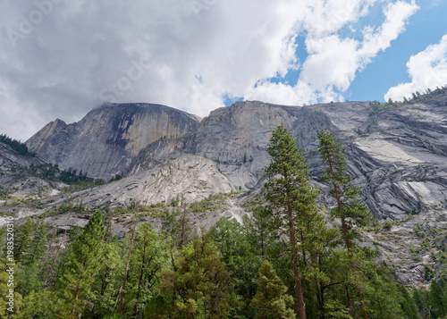 Massive vertical granite walls rising above a lush coniferous forest, Yosemite National Park, California, USA