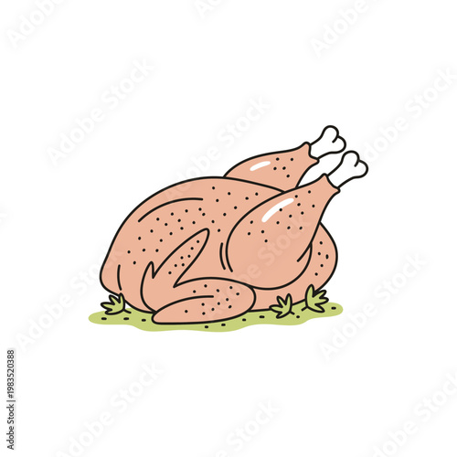 Roasted Turkey Illustration for Thanksgiving or Christmas Dinner