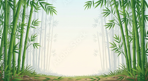 Tranquil Bamboo Forest Landscape with Soft Light and Gentle Fog