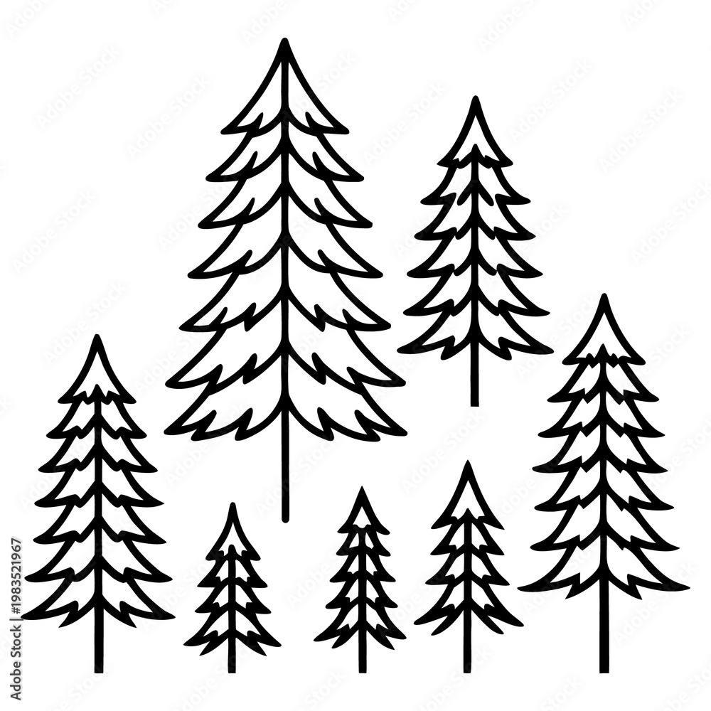 Obraz premium set of stylized pine trees in outline drawing on white background.