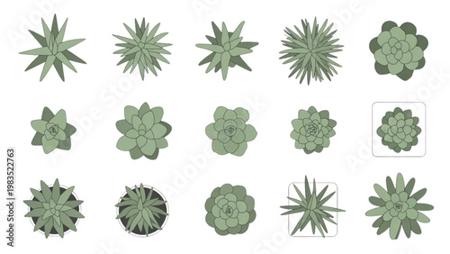Collection of stylized cactus plants in a geometric pattern arrangement Vector