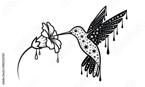 Delicate hummingbird and floral sketch a black and white illustration of nature's beauty