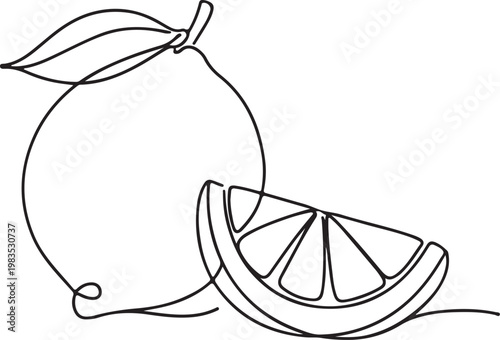 Line drawing of whole and sliced organic lemon for fresh orchard branding identity