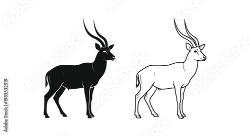 Antelope Species Comparison Guide Vector