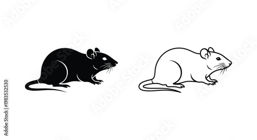 Black and White Lab Rats Comparison Guide Vector