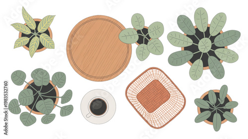 Collection of succulent plants and a dried orange slice in a geometric arrangement Vector