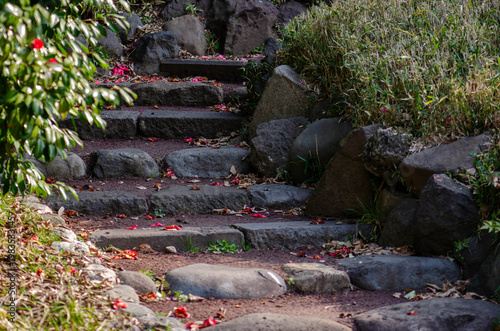 Stone Steps with Fallen Red Camellia Petals in Japanese Garden