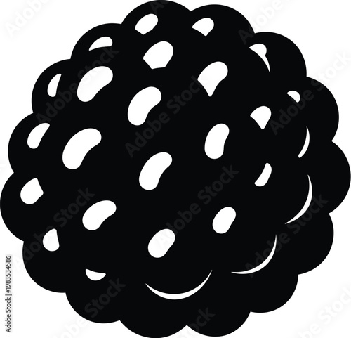 A blackberry against a white background