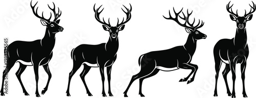 Stag deer with large antlers.