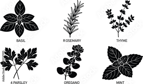 Herb Plant Line Art Set Featuring Basil, Rosemary, Thyme, Parsley, Oregano, and Mint for Botanical and Culinary Designs