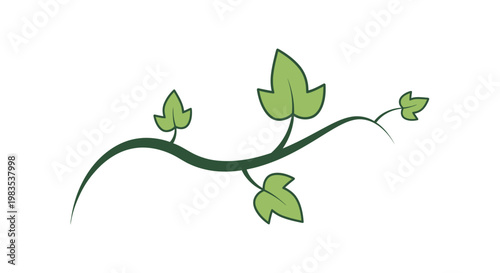 A stylized green vine with leaves curves across a white background