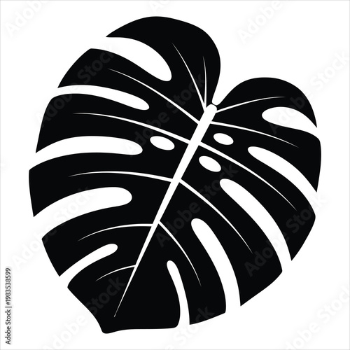 Monstera leaf shows intricate natural patterns with distinct cutouts in this minimalist black and white botanical illustration.