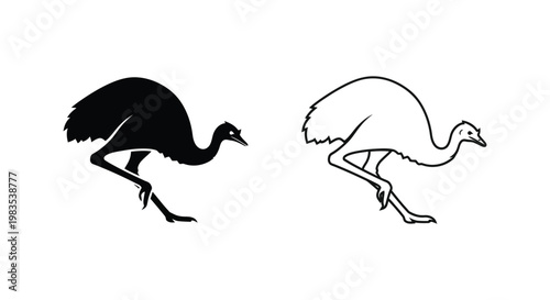 Emus Running: Unique Bird Comparison Illustration Vector