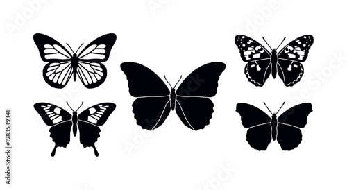monarch butterfly wings open flat, swallowtail butterfly long tail wings, morpho butterfly wide wings spread, painted lady