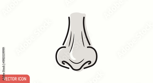 Minimalist illustration of a human nose with light gray shading and bold black outlines