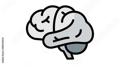 Simplified graphic of a human brain, showing cerebrum, cerebellum, and brainstem