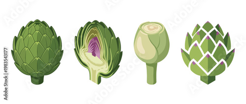 artichoke flat color isometric vector