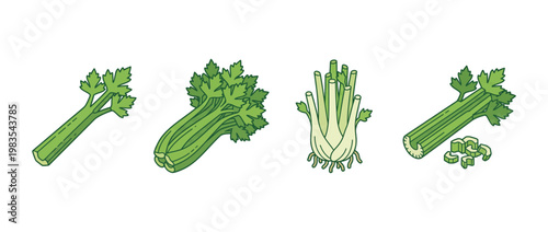 celery flat color isometric vector