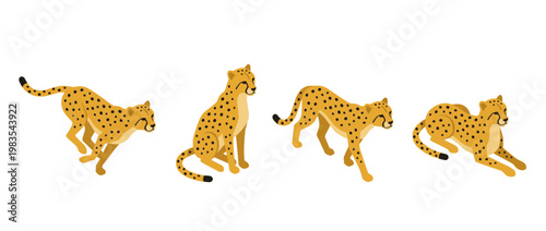 cheetah flat color isometric vector