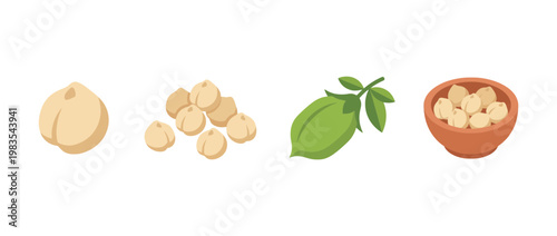 chickpea flat color isometric vector